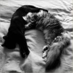 Yin i Yang :)