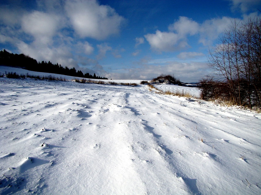 pierwszy śnieg