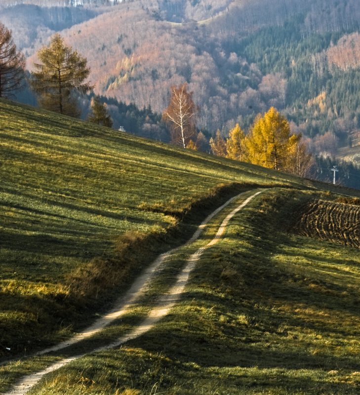 drogą do jesieni