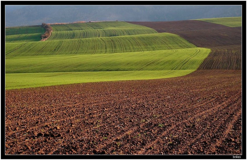 zaorane i posiane