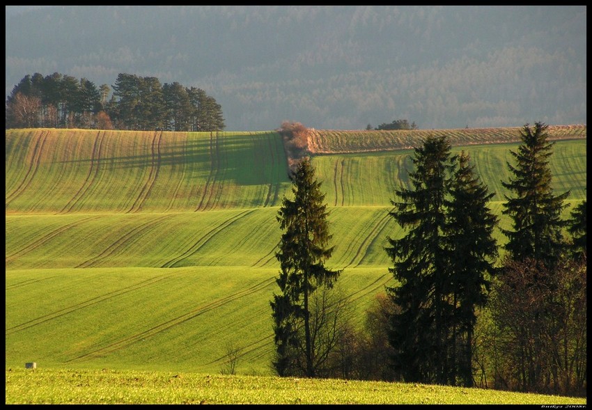 za lasami za pagórkami