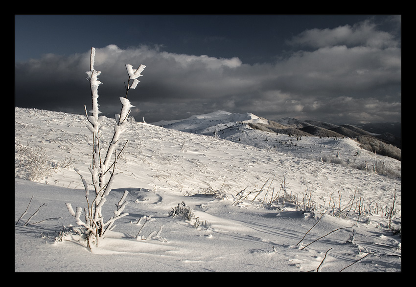 Zimowe Bieszczady