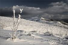 Zimowe Bieszczady