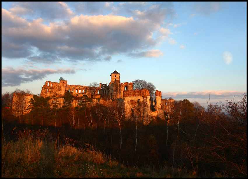 Zamek Tęczyńskich