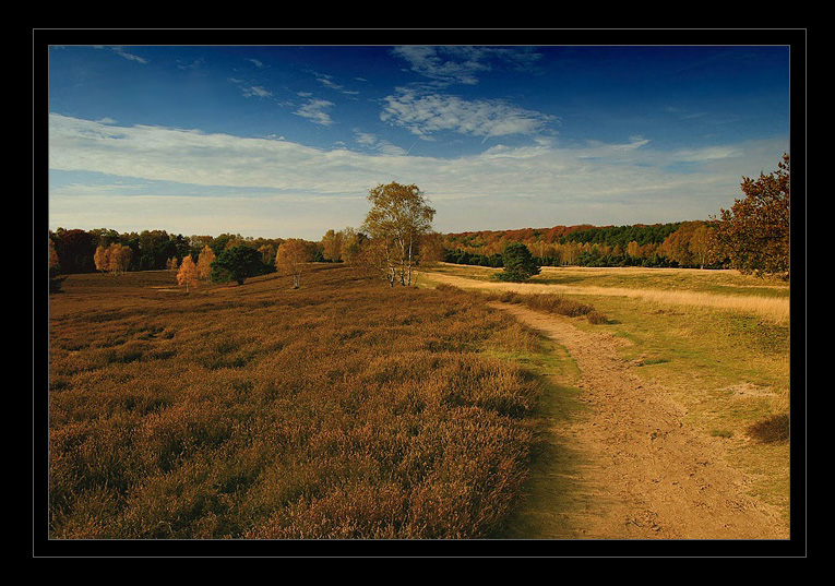 Barwy jesieni