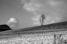 Beskid