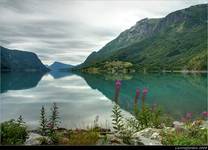 Norwegia, Lustrafjorden