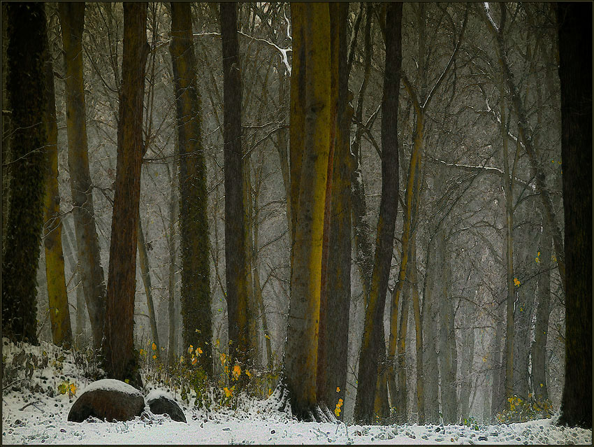 Jesień pod śniegiem