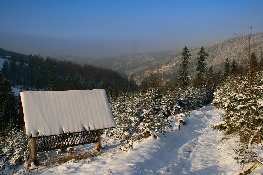 Zima w Beskidach (2007)