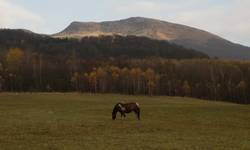 BIESZCZADY JESIENIĄ