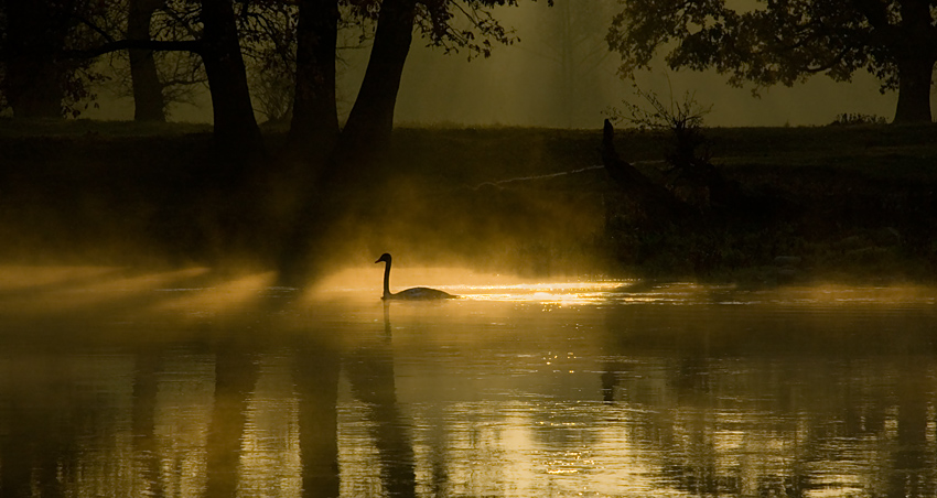 poranek nad Wartą