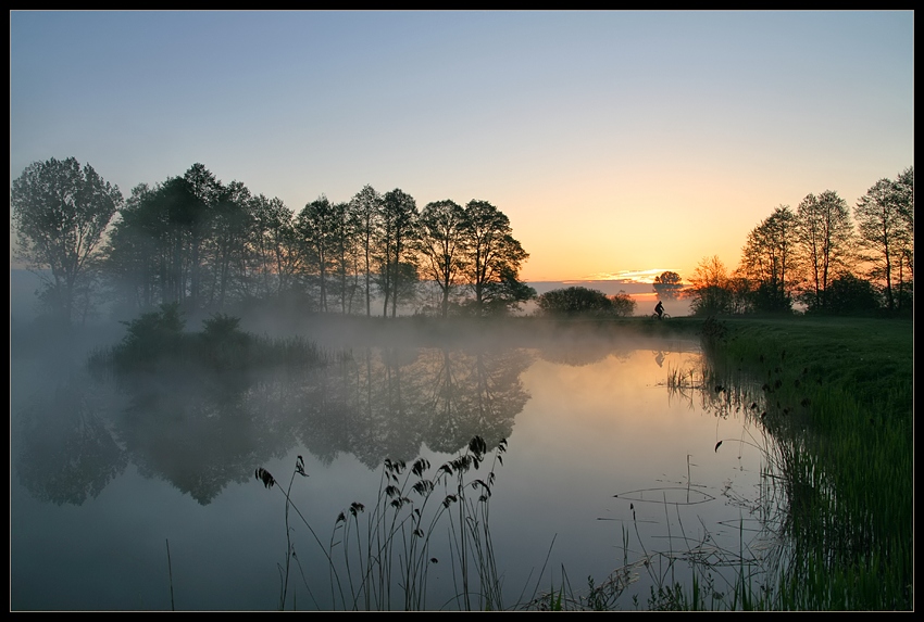 Morning fog