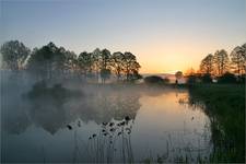 Morning fog