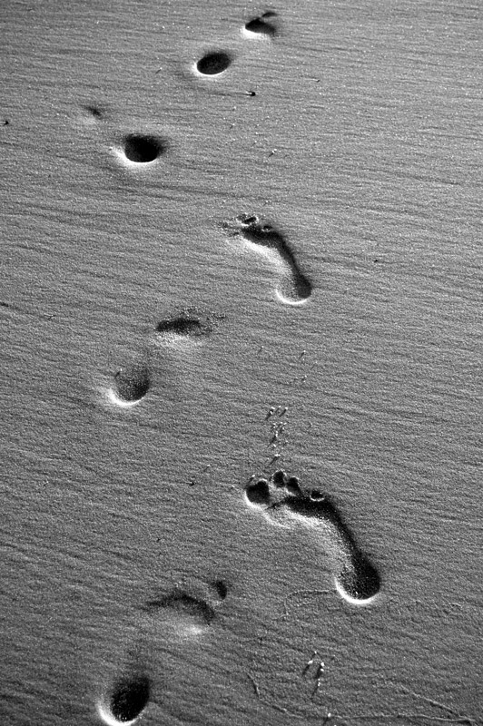 Foot prints