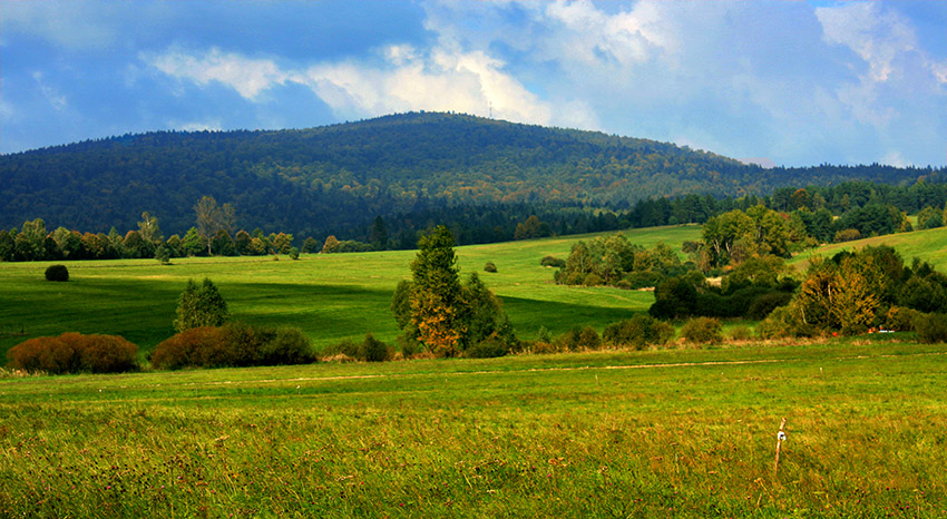 gładyszów