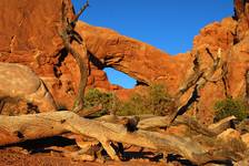 Arches National Park, Utah, USA