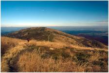 Bieszczady, Bukowe Berdo