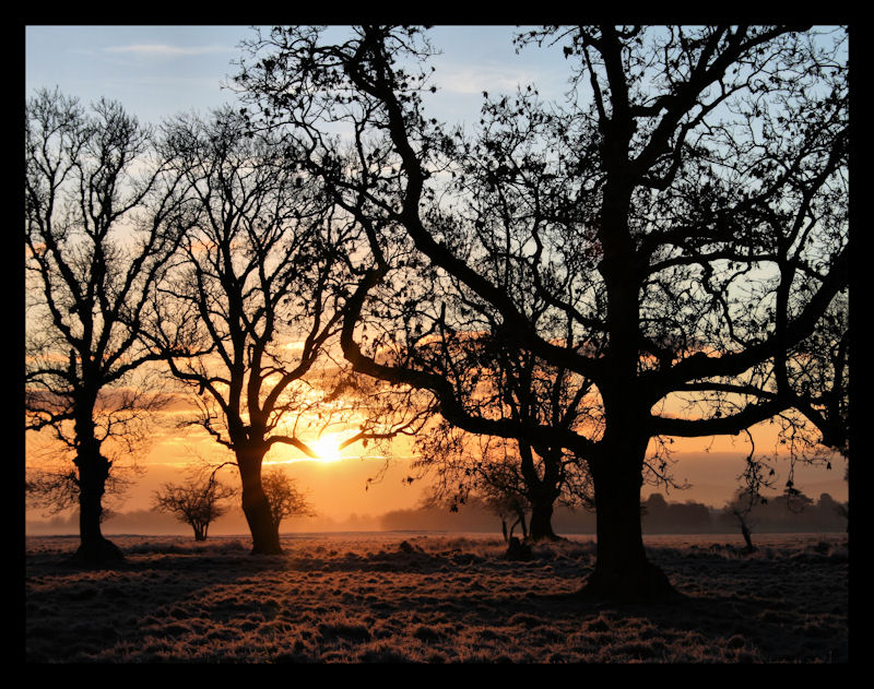 wschod w phoenix park