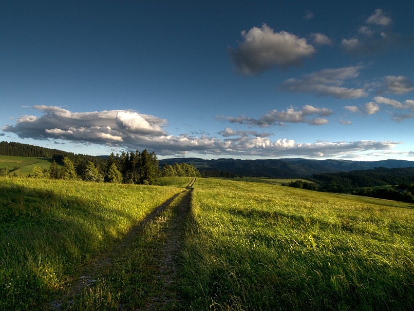 Schwarzwald