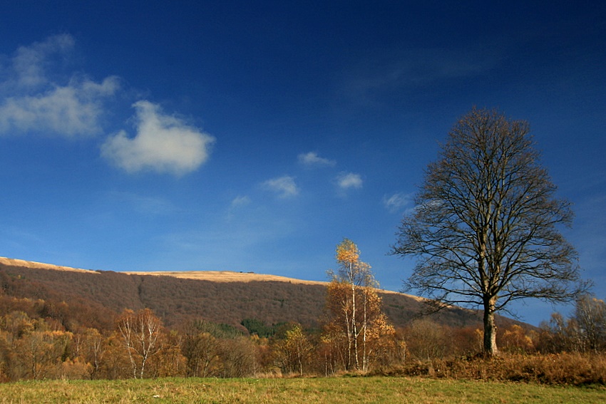 Bieszczady