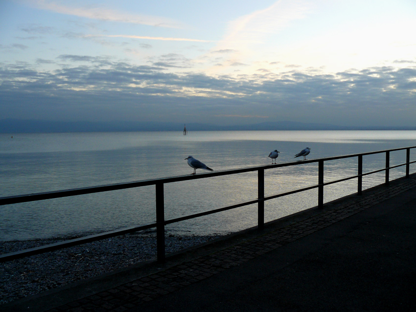 Friedrichshafen