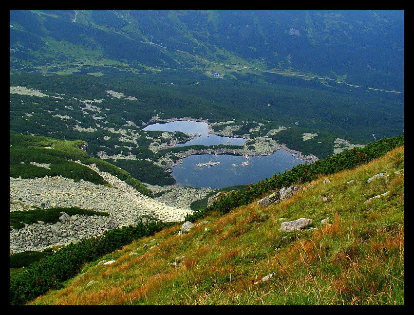 któryś Gąsienicowy