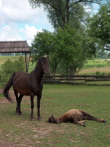 na straży