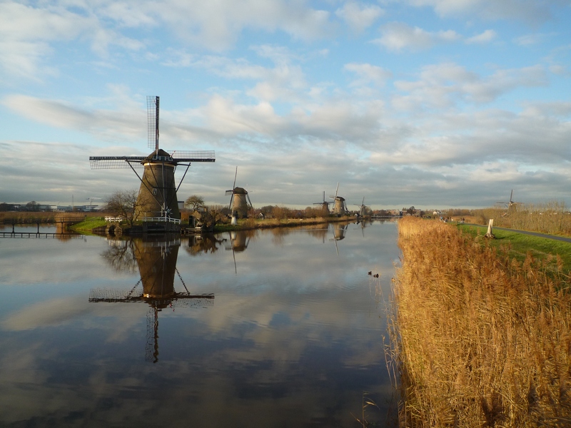 Kinderdijk