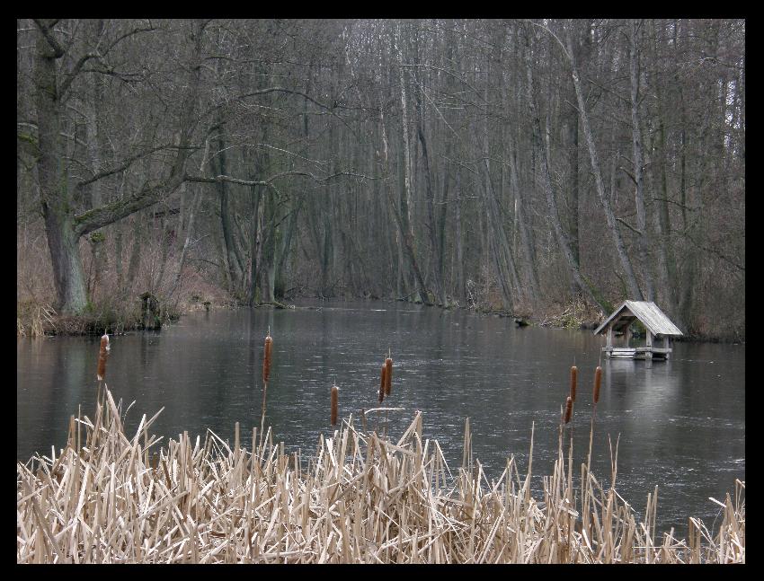 gdzieś na Podlasiu