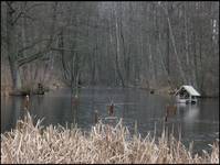 gdzieś na Podlasiu