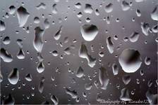 Rain Drops