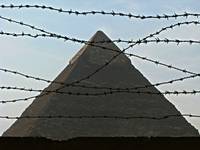 Pyramid in captivity