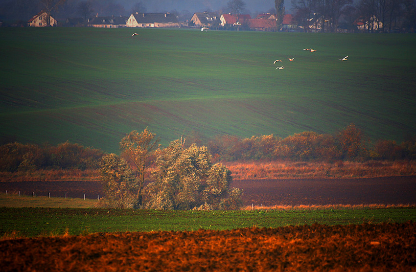 mazurskie klimaty