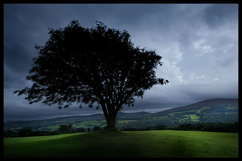 wicklow