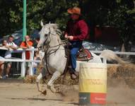 Adrenalina 2008 Gliwice