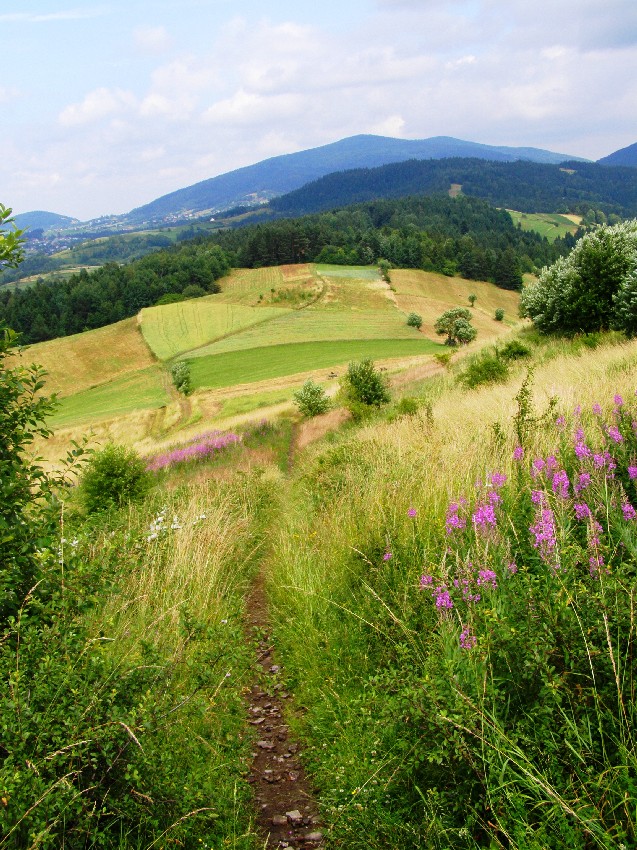 Beskid Wyspowy