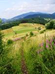 Beskid Wyspowy