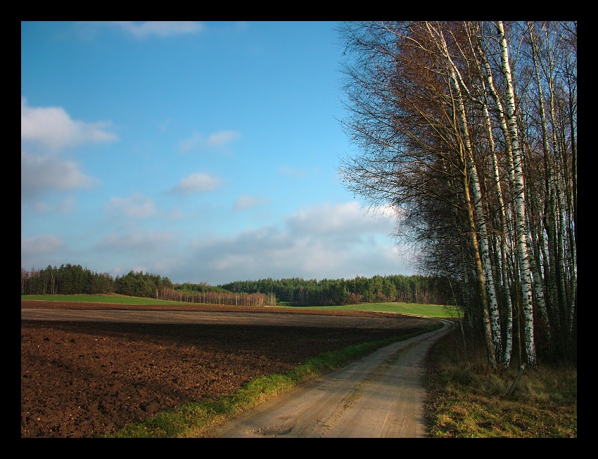 przedBożoNarodzeniowo