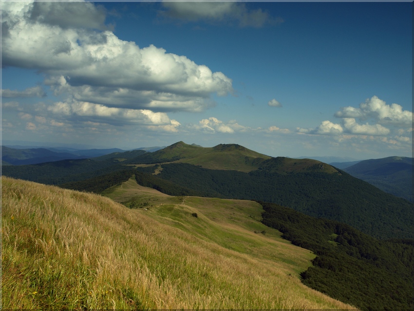 MOJE BIESZCZADY