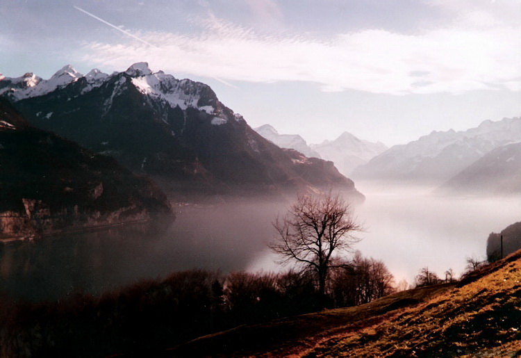 Poranek nad jeziorem