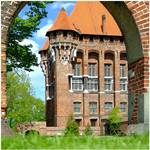 zamek malbork