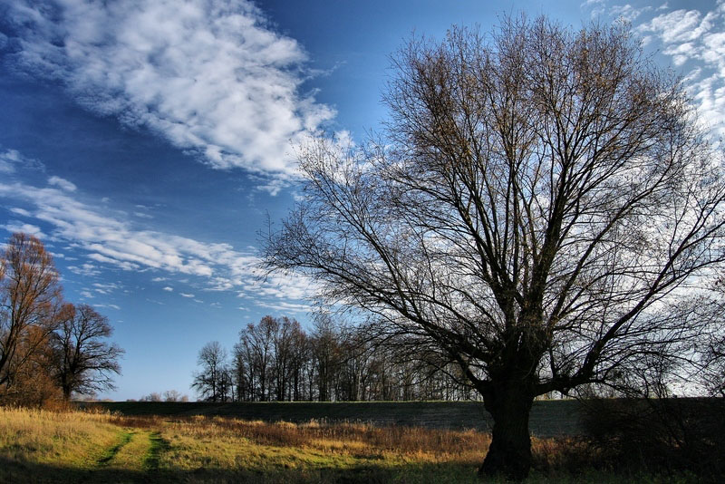 Mileszyńskie klimaty