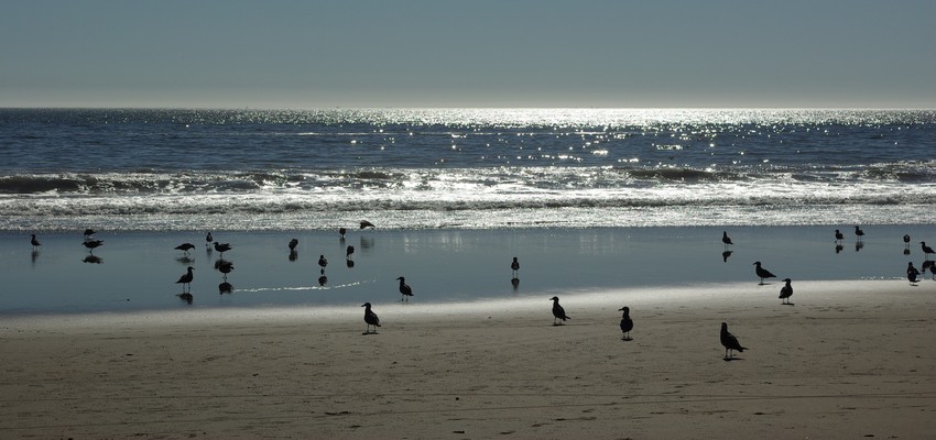 Muir Beach