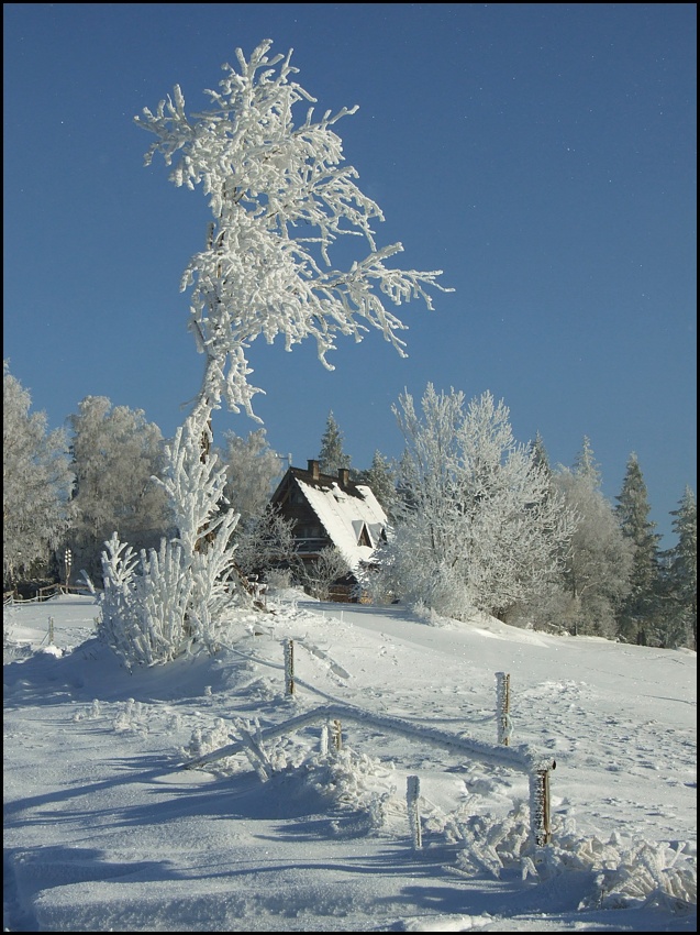 Zimowo-bajkowo