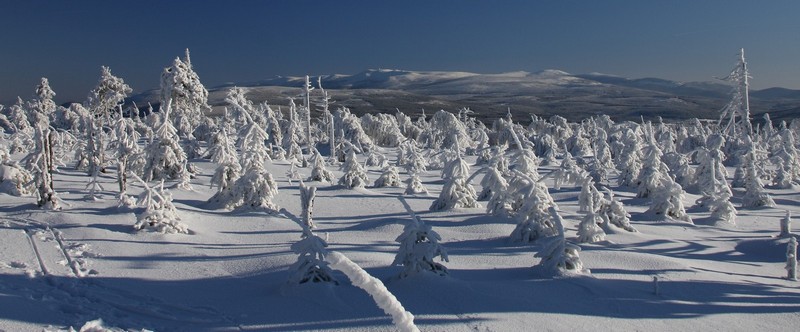 Prawie jak Alaska ;)