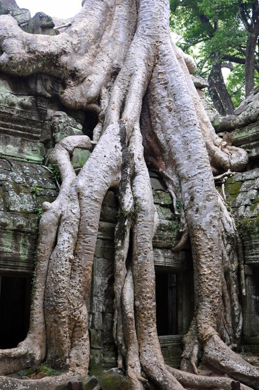 Angkor Wat