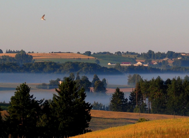 Górski kaszubski krajobraz