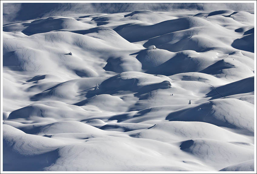 Śnieżna Sahara