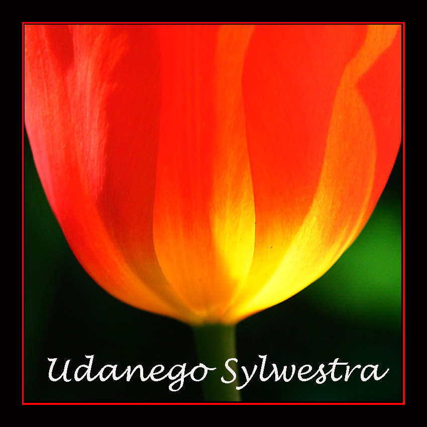 Udanego Sylwestra