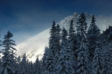 Tatry - zima 2008